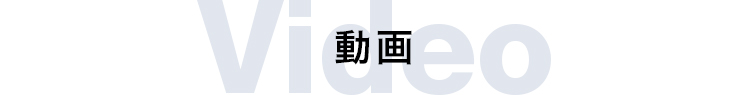見出し：動画